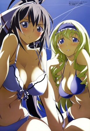 Infinite Stratos